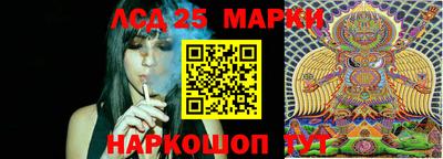 шишки Новокубанск