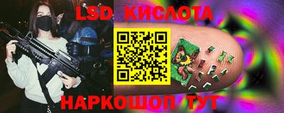 шишки Новокубанск