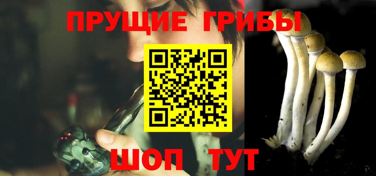 Галлюциногенные грибы Magic Shrooms  Вход с VPN  Чусовой  где найти наркотики  Галлюциногенные грибы Cubensis 