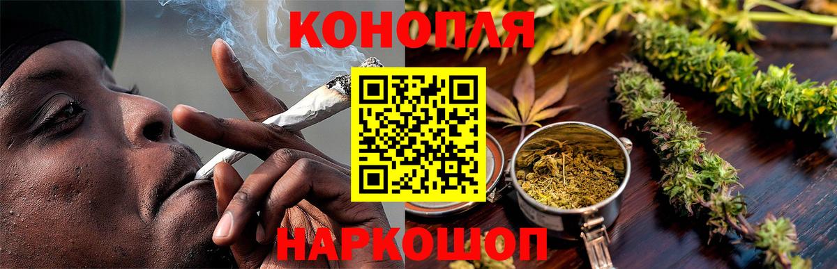 Конопля гибрид Чусовой